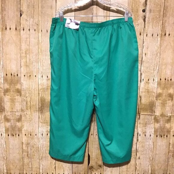 Kim Rogers Comfort Waist Capri Pants 18 Average NWT - Picture 2 of 5